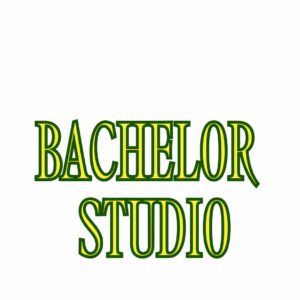 Bachelor or Studio